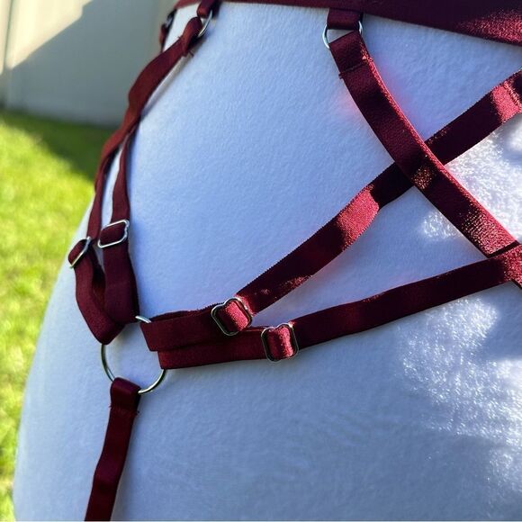 Thistle & Spire strapped in Ruby garter belt lingerie - Picture 3 of 10